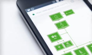 Organizational chart