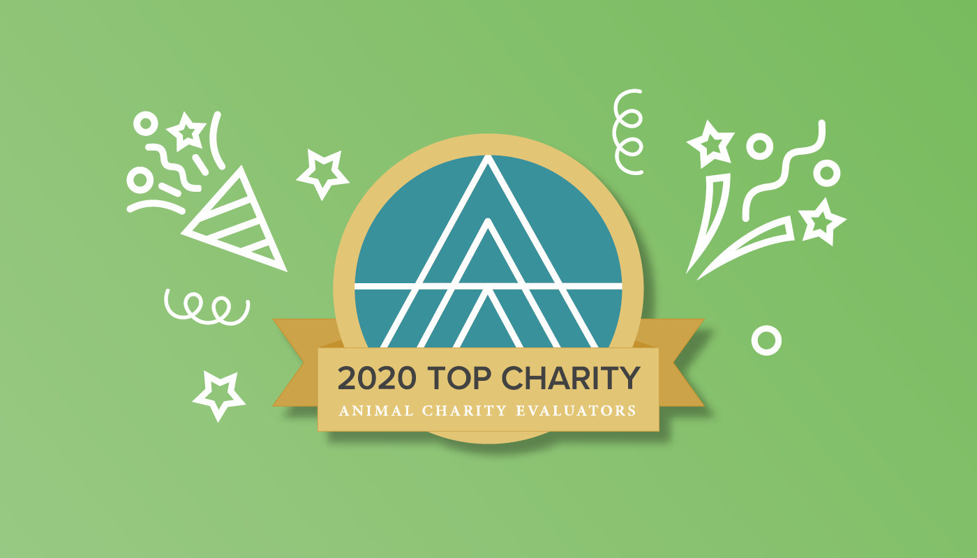 Top Charity 2020
