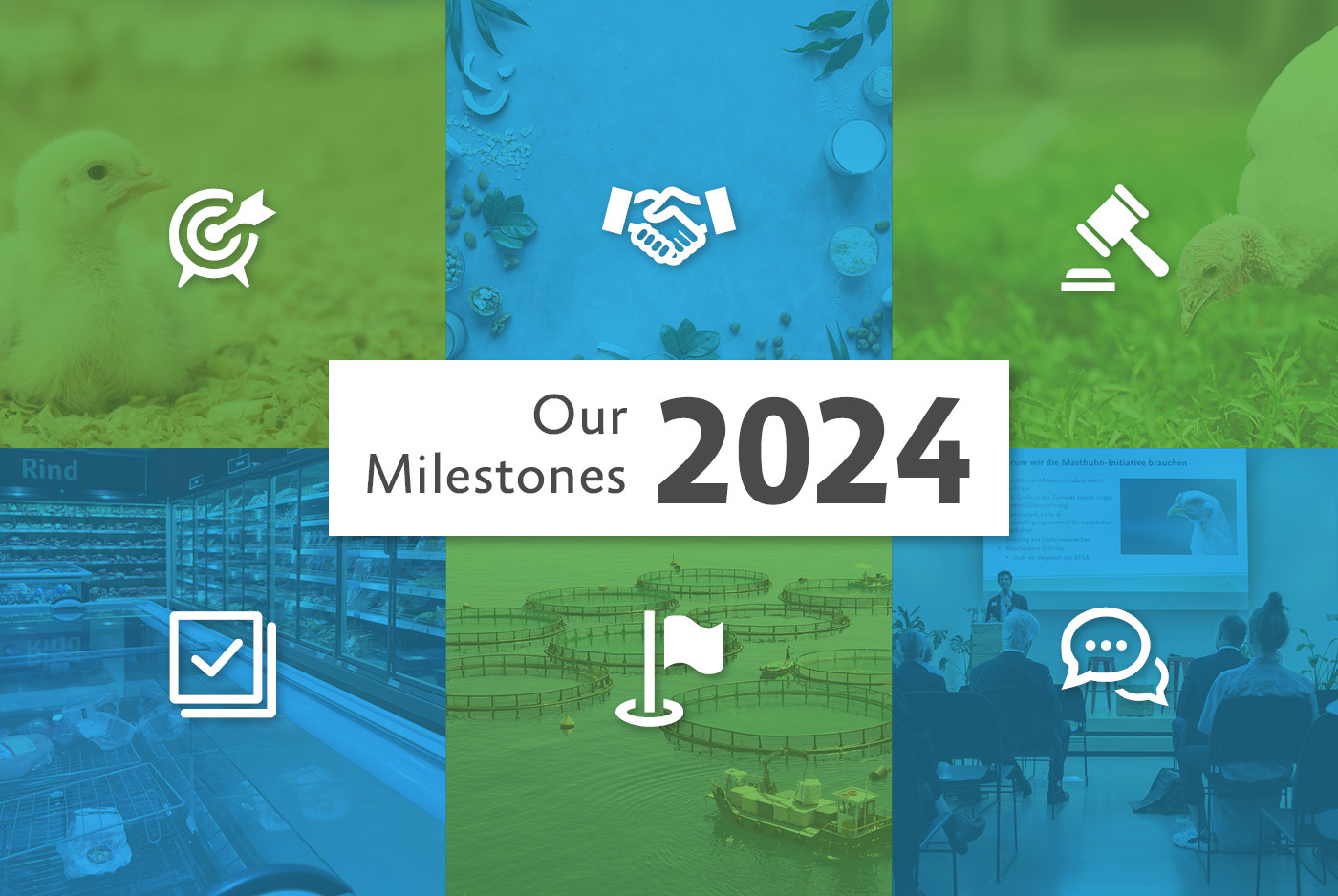 Die Worte Our Milestones 2024 mit mehreren Kacheln, die unsere Arbeit abbilden