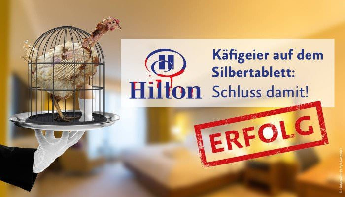 Success: Hilton Goes Cage-Free