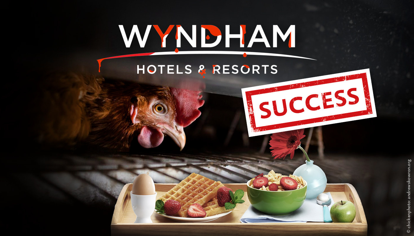 Success Wyndham Petition