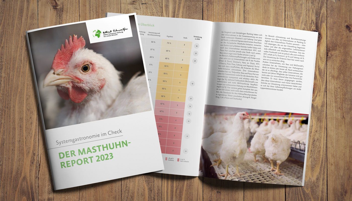 Masthuhnreport 2023