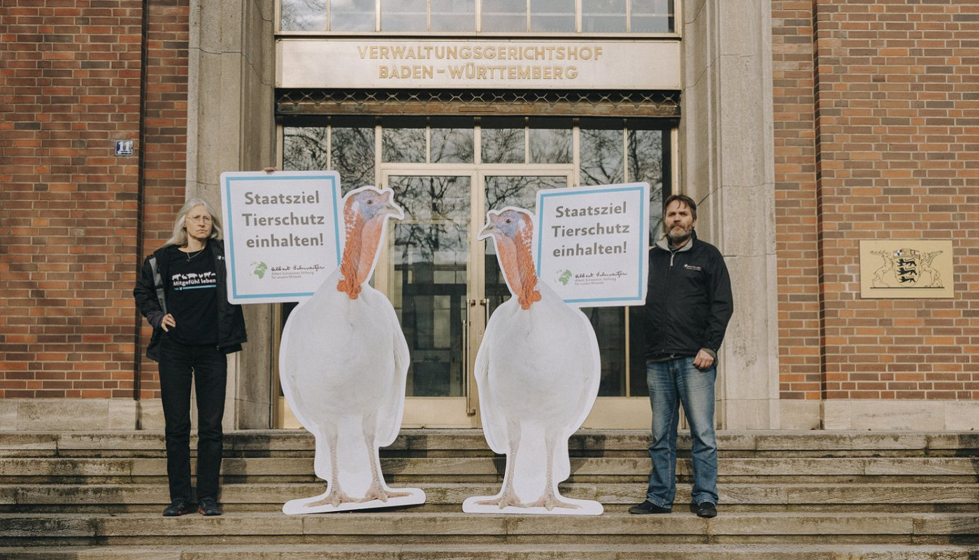 Activists in front of court